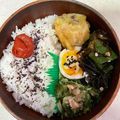 なおすけ151a's cooksnap of when they made お弁当・・・109ゆかり梅干しご飯.