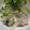 クックE662AA☆'s cooksnap of when they made サバ缶✧ブロッコリースプラウト食べよ✧.