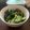 ランランくん's cooksnap of when they made 簡単★ウメェ～！塩コンブｄｅきゅうり.