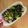 ボブ♪'s cooksnap of when they made しけた味海苔救済★ほうれん草の海苔和え.