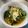 azbjbn's cooksnap of when they made 春菊の和風たまごとじ【話題入り！】.