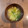 クックL8U9HI☆'s cooksnap of when they made 保育園で人気☆青梗菜の和風スープ.