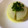 バウチャン's cooksnap of when they made 超ラクチン！新玉ねぎの丸ごとレンジ蒸し.