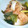 もちこヽ(´▽｀)ノ's cooksnap of when they made 水なしで作る大根と白ねぎの煮物.