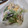 ポニーリボン's cooksnap of when they made 玉子とちくわの和風レタスサラダ.