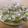 gantaro♪'s cooksnap of when they made 肉シュウマイ♪.