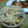 ma_ko's cooksnap of when they made 磯の香りあふれるサザエご飯.