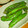 mokun's cooksnap of when they made ししとうの醤油焼き.