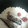 kumiれぽ's cooksnap of when they made 焼きさんまの炊き込みごはん.