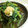 りんばたまま's cooksnap of when they made 小松菜と揚げの簡単★煮びたし.