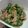 manakao's cooksnap of when they made オクラとツナのサラダ.