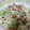 さとっち☆☆☆'s cooksnap of when they made ソーセージとレタスのクレソルマヨサラダ.