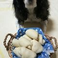はっちぴん's cooksnap of when they made ☆愛犬に焼きたてワンコパン☆.