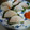 aritya's cooksnap of when they made あと１品！簡単！大根明太子.