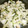 Andy♪'s cooksnap of when they made 簡単　サバ缶（水煮）とゴーヤあえ.
