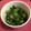 南国のまなまま's cooksnap of when they made きゅうりとほうれん草の和風ナムル⁈.
