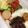 こうへい1206's cooksnap of when they made 美味しすぎます！生姜の佃煮.