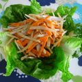 cheesedog's cooksnap of when they made ごぼうとにんじんのコールスロー風サラダ.