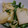 yuttanmama's cooksnap of when they made 厚揚げと小松菜の炒め物.