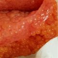 satomi424's cooksnap of when they made 秋に作るイクラ丼.