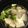 ラムネッコ's cooksnap of when they made 豆腐とブロッコリーの食べるスープ.