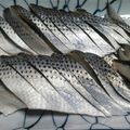 長州よっしい's cooksnap of when they made 特盛コノシロで作った酢漬け.
