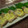 櫻子のママ's cooksnap of when they made 豚肉のトースター焼き♪柚子胡椒マヨ.