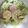 クックゴロリ's cooksnap of when they made 野菜たっぷりおからのサラダ.
