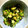 Иanaco's cooksnap of when they made ☆オクラと塩こんぶの和え物☆.
