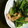 ゆずるてぃ's cooksnap of when they made ＊小松菜とささみの海苔あえ＊.