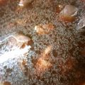 季節外れ's cooksnap of when they made 鶏レバーの生姜煮.