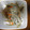 るなっちぷらす's cooksnap of when they made 京のおばんざい☆ごぼうマヨ.