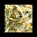 だぶるショコラ's cooksnap of when they made 水菜と大根とうす揚げの煮びたし♪♪.