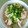ryokohaku's cooksnap of when they made ◎柚子胡椒風味♪冷やし蒸し鶏のそうめん.