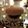 しおえさん's cooksnap of when they made おうちで簡単ハンバーガー.