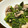 菜つ実☆ミ's cooksnap of when they made 小松菜と豚肉のオイスターソース和え.