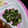 sanama0826's cooksnap of when they made オクラとふわふわしらすのおかか和え.