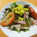 nekoyannnn's cooksnap of when they made 豚しゃぶ素麺サラダ.