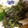カナー's cooksnap of when they made もりもり野菜の☆胡麻和え.