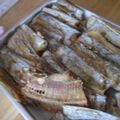 あねさん②'s cooksnap of when they made 太刀魚のムニエル.