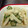 Myself7's cooksnap of when they made オクラと長芋の胡麻和え.