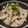 あずちもも's cooksnap of when they made 鶏とごぼうのマヨごま和え.