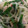 jishi2x98's cooksnap of when they made もやし1袋で☆もやしとハムの炒め物.