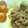 naotaroo's cooksnap of when they made 定食屋さんの味！豚のしょうが焼き.