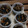 Shintarino's cooksnap of when they made 大豆たっぷりのひじきの煮もの.