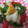 みやびうさぎ's cooksnap of when they made ちくわとﾋﾟｰﾏﾝの甘辛きんぴら.