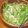 mkkjmt's cooksnap of when they made 水菜の中華風サラダ.