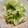 わたるんママ's cooksnap of when they made 簡単☆キャベツとツナのマヨサラダ.