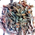 tigerchild's cooksnap of when they made きんぴらごぼう.