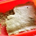 ★ままりん★'s cooksnap of when they made ルクエde即席抹茶クッキー.